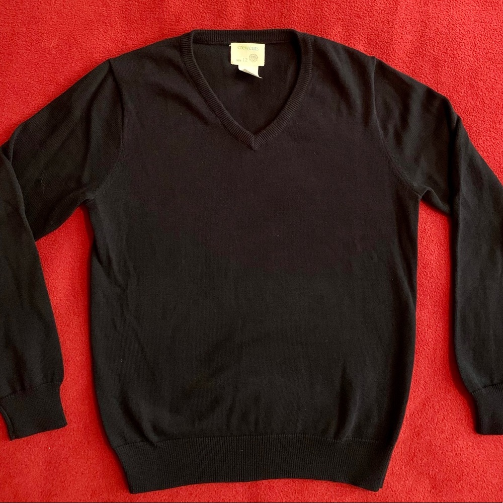 J. Crew / Crew Cuts v-neck sweater